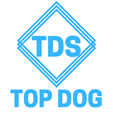 TDS Logo